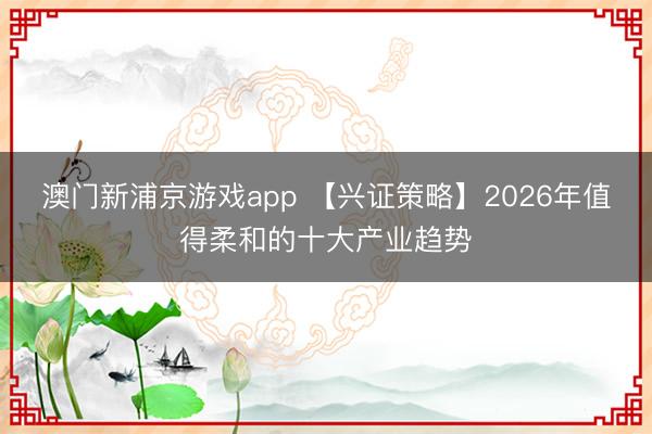 澳門(mén)新浦京游戲app 【興證策略】2026年值得柔和的十大產(chǎn)業(yè)趨勢(shì)