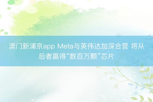 澳門新浦京app Meta與英偉達加深合營 將從后者贏得“數(shù)百萬顆”芯片