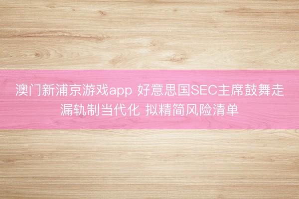 澳門(mén)新浦京游戲app 好意思國(guó)SEC主席鼓舞走漏軌制當(dāng)代化 擬精簡(jiǎn)風(fēng)險(xiǎn)清單