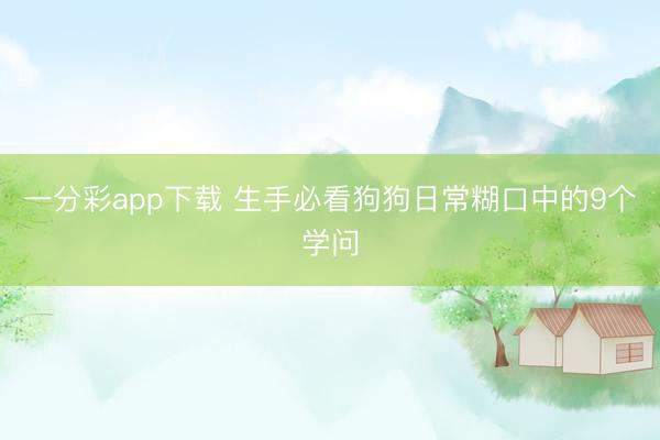一分彩app下載 生手必看狗狗日常糊口中的9個學問