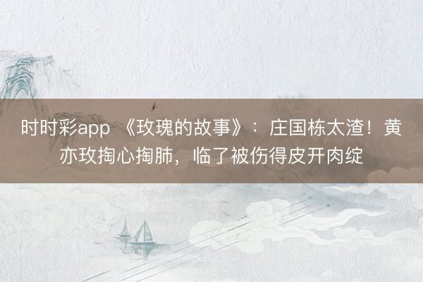 時(shí)時(shí)彩app 《玫瑰的故事》：莊國(guó)棟太渣！黃亦玫掏心掏肺，臨了被傷得皮開肉綻